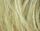 Lighthoney Rooted thumbnail