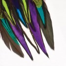 Drops Fine Feathers Techno thumbnail