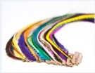 Fine Feathers Rainbow Bright thumbnail