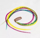 Fine Feathers Rainbow Bright thumbnail