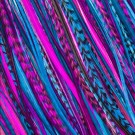 Fine Feathers Mulberry thumbnail