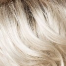 Snow-Blond-Root 101/16/60+Root10 thumbnail
