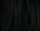Espresso Rooted thumbnail