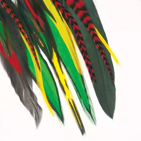Drops Fine Feathers Rasta