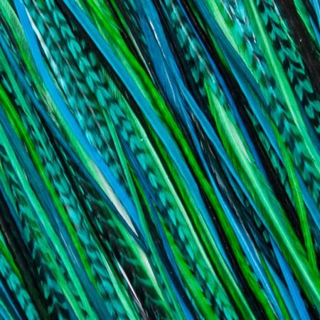 Fine Feathers Peacock