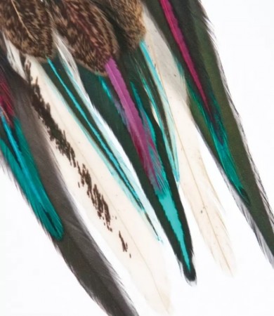 Drops Fine Feathers Native