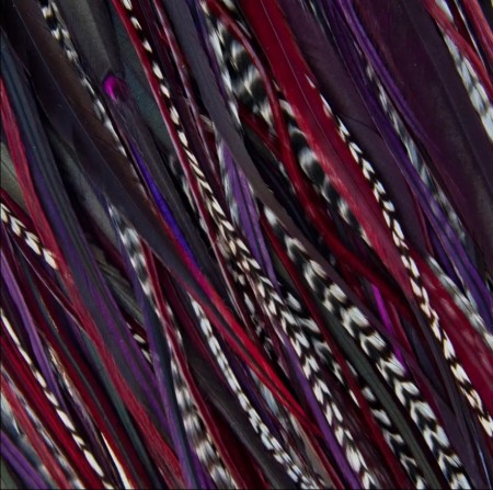 Fine Feathers Twilight