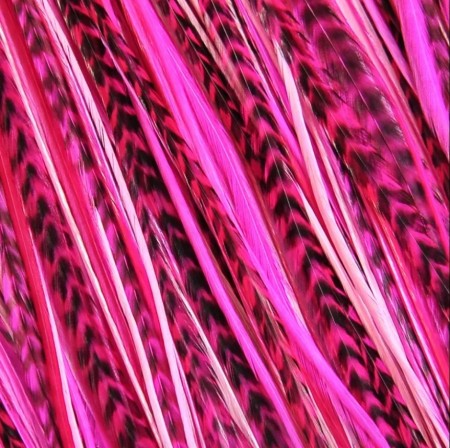 Fine Feathers Pretty in Pink