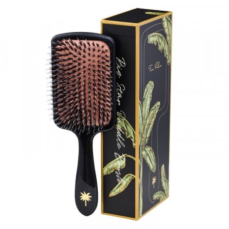  Fan Palm Paddle Big Star