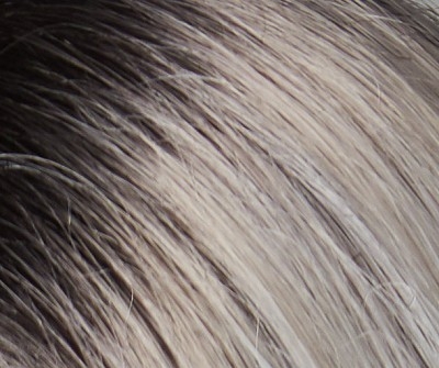 Burnished Snow Rooted ( G60#2 )