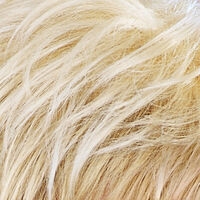 Swedish-Blond-New 22H/23